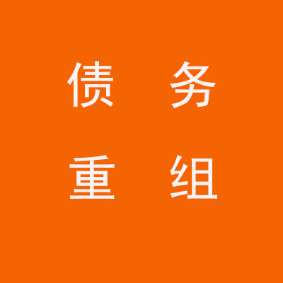 定陶个人债务重组优化